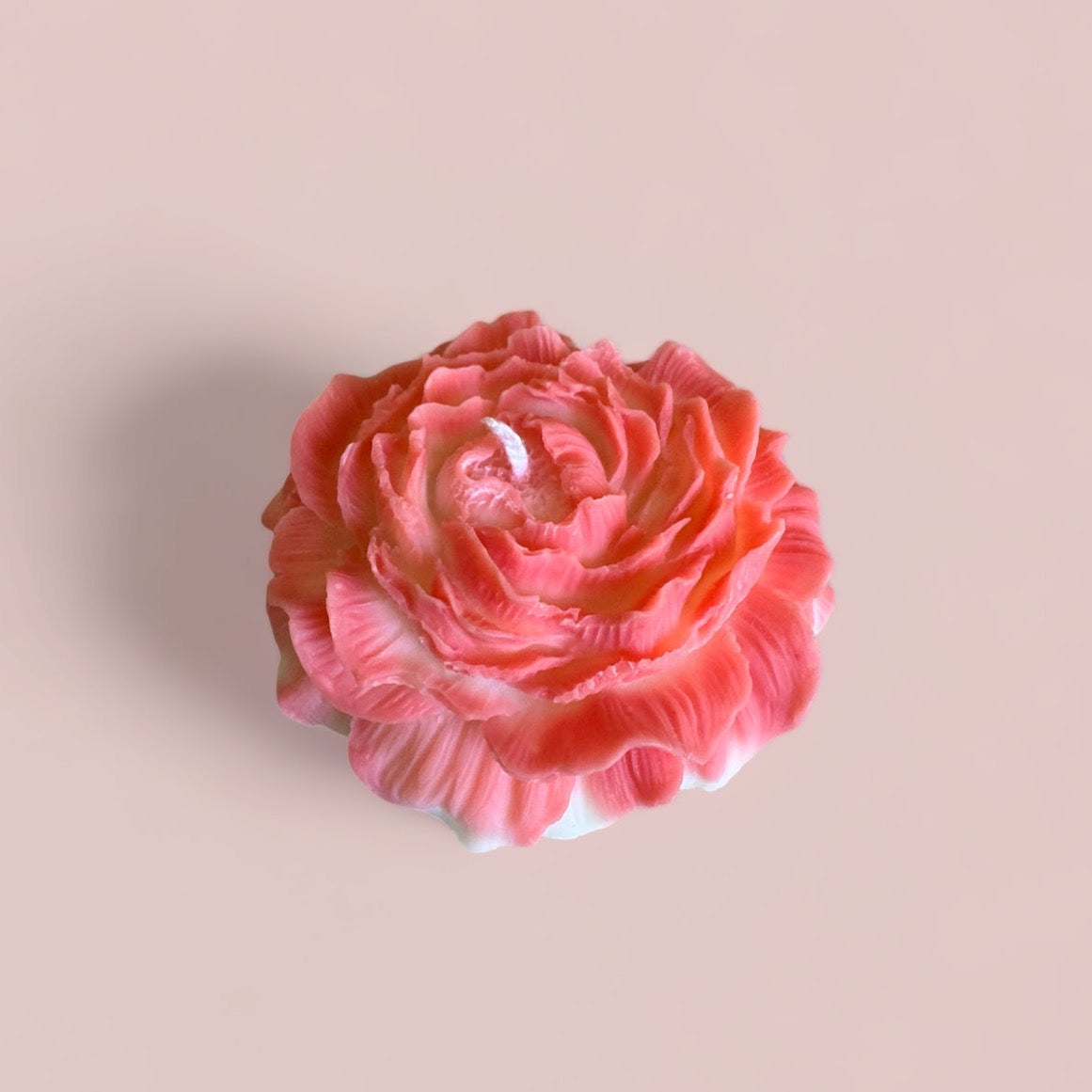 Petal Flame rosa